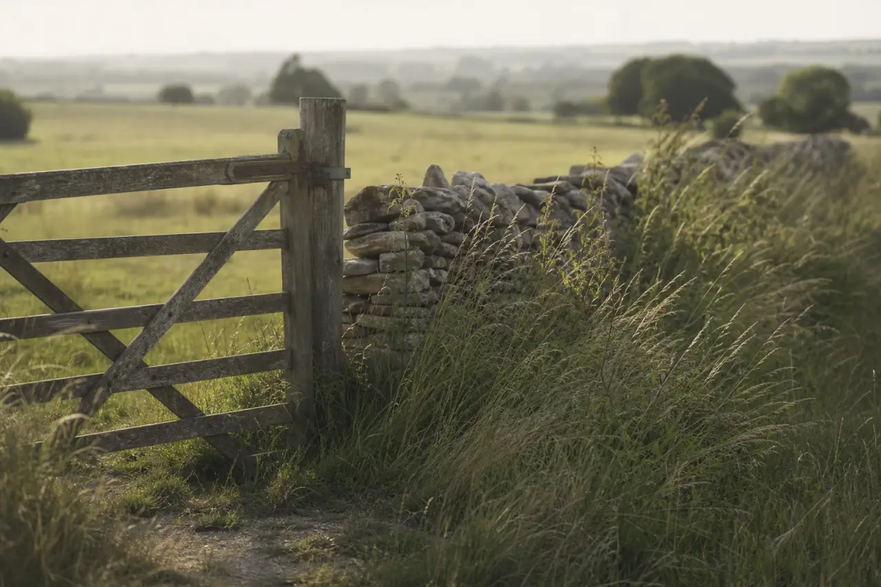 Field boundary in Rutland