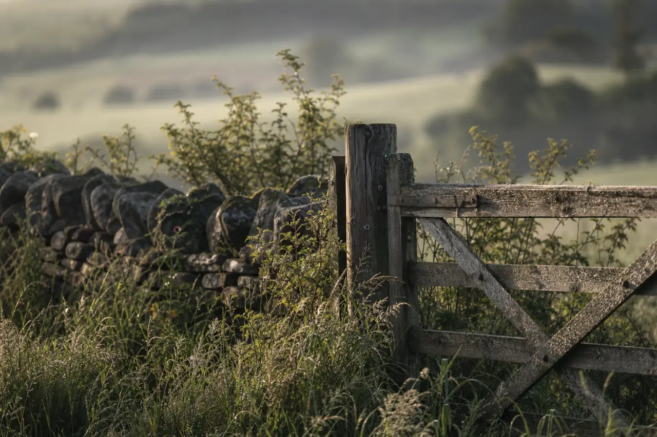 Field boundary in Scottish Borders