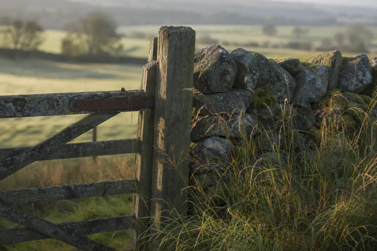 Field boundary in South Ayrshire