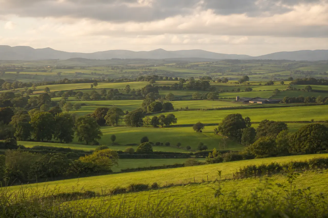 South Ayrshire countryside
