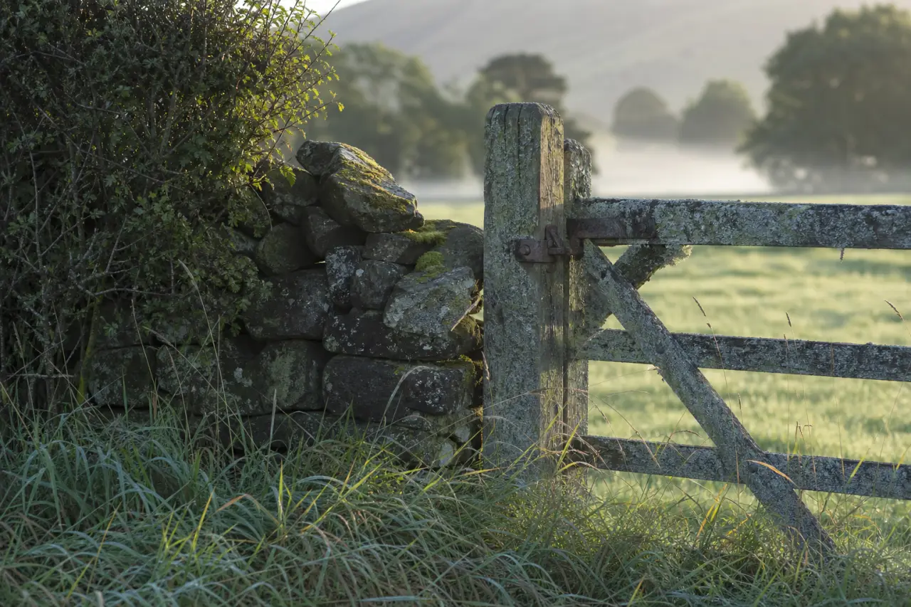 Field boundary in Stirling