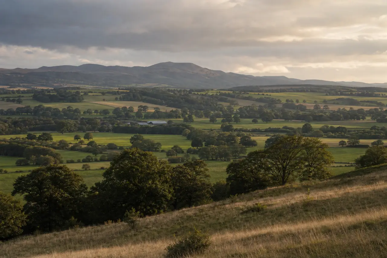 Stirling countryside