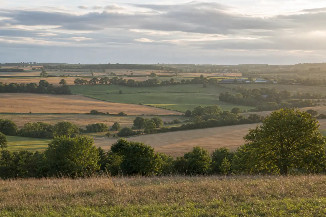 Suffolk countryside
