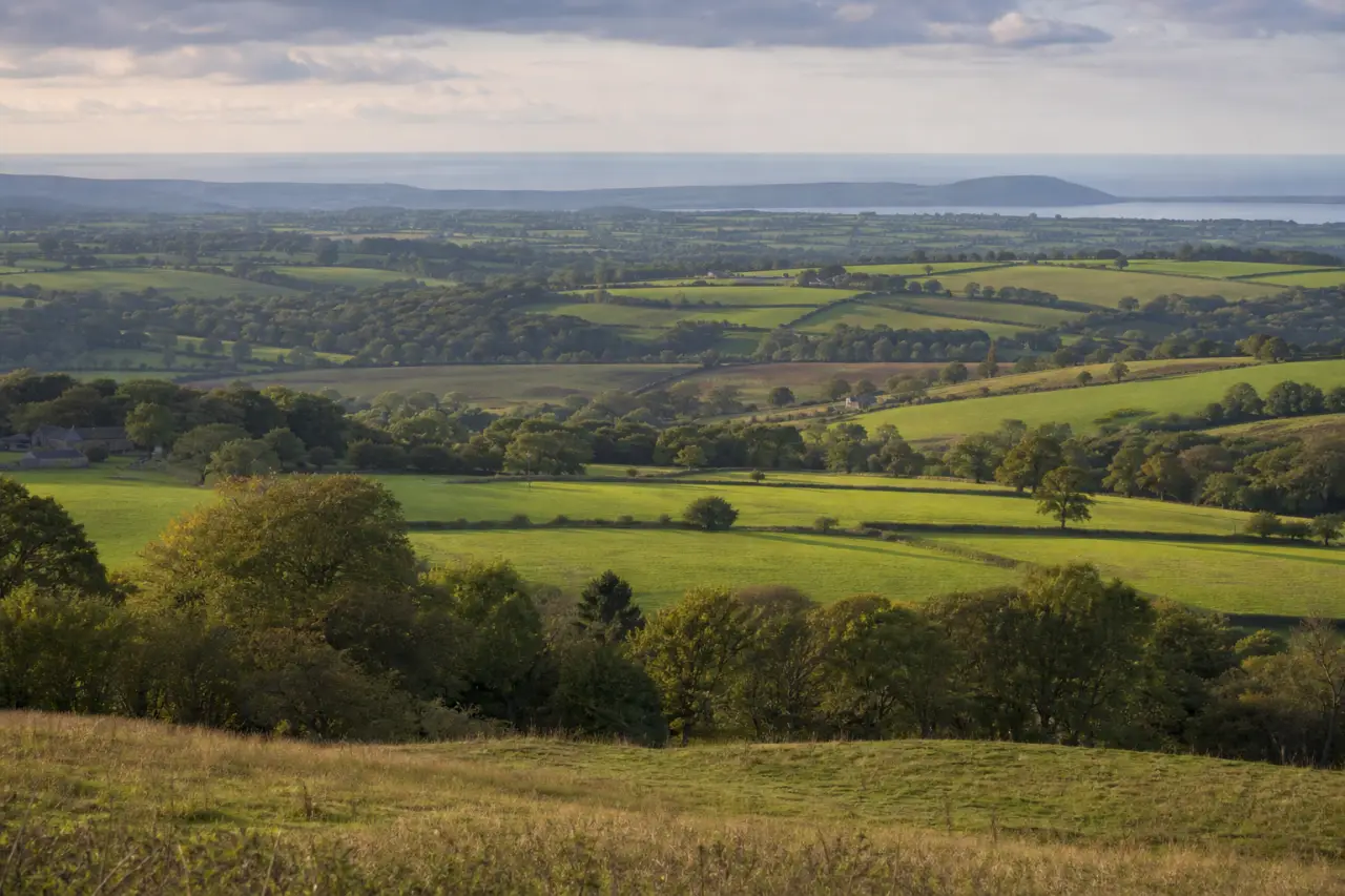 Swansea countryside