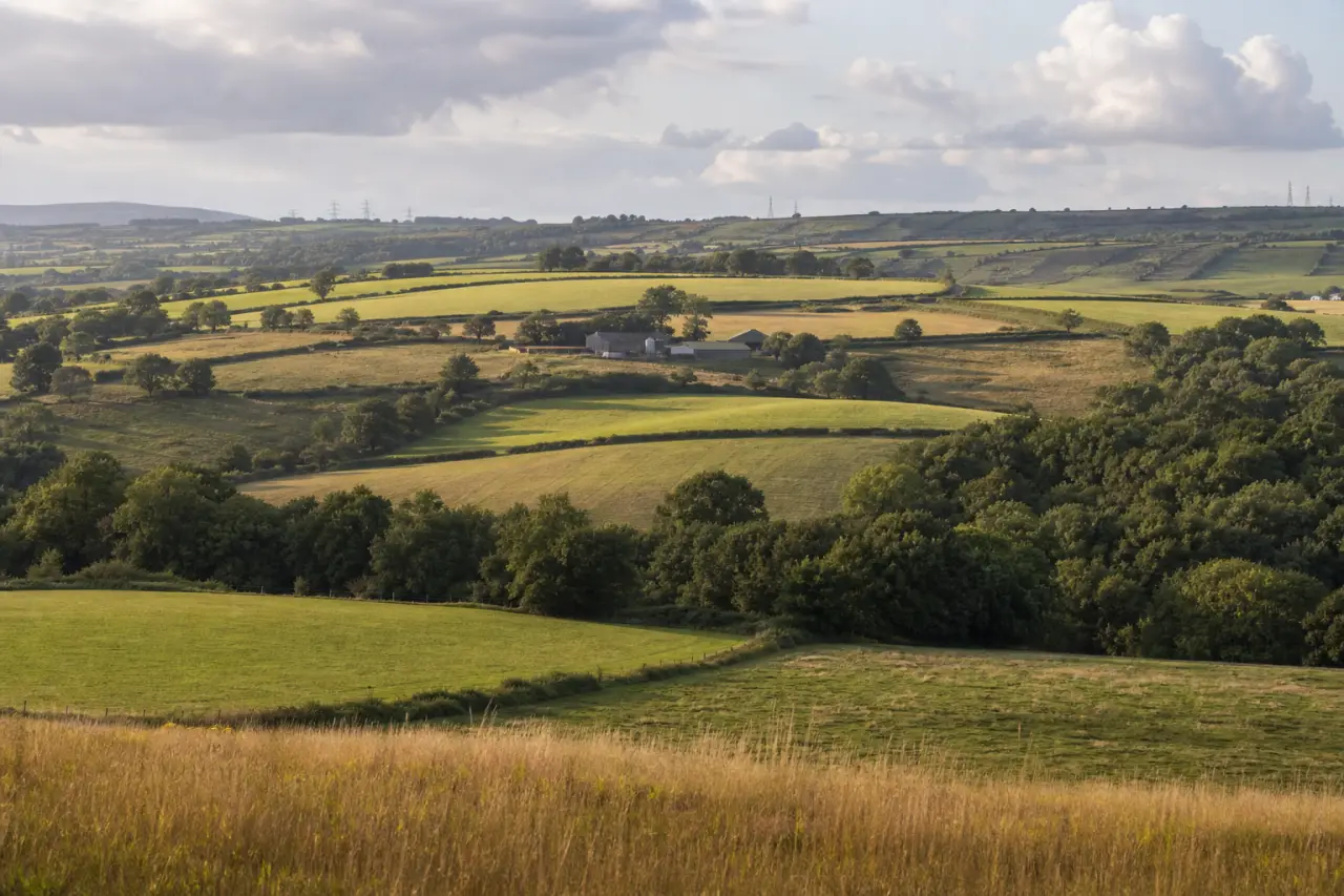 Torfaen countryside