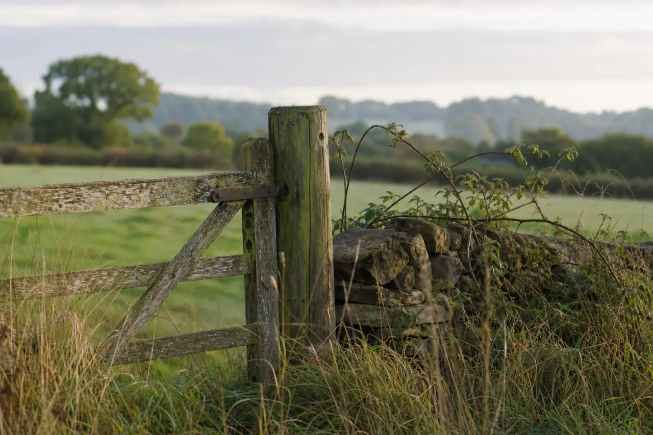 Field boundary in Warwickshire