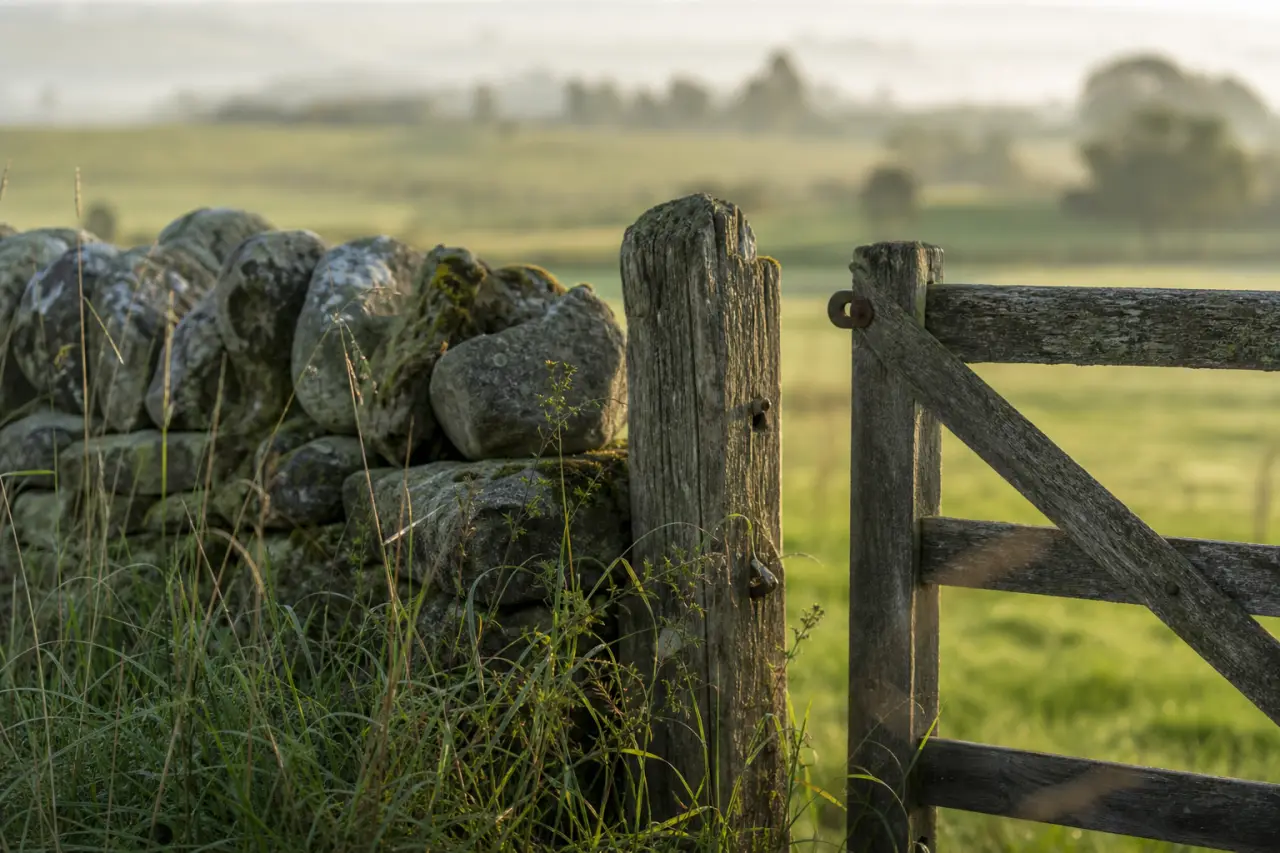 Field boundary in West Lothian