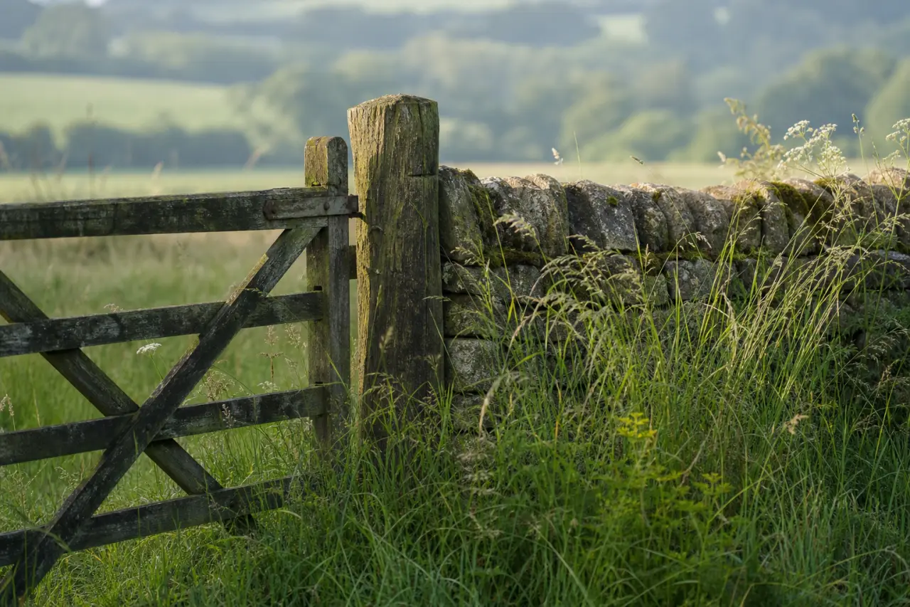 Field boundary in West Sussex