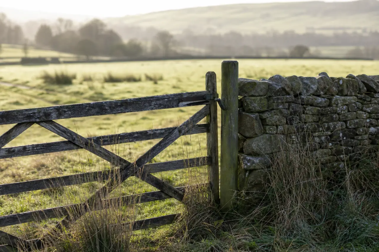 Field boundary in Westmorland and Furness