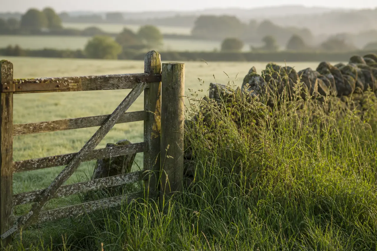 Field boundary in Wiltshire