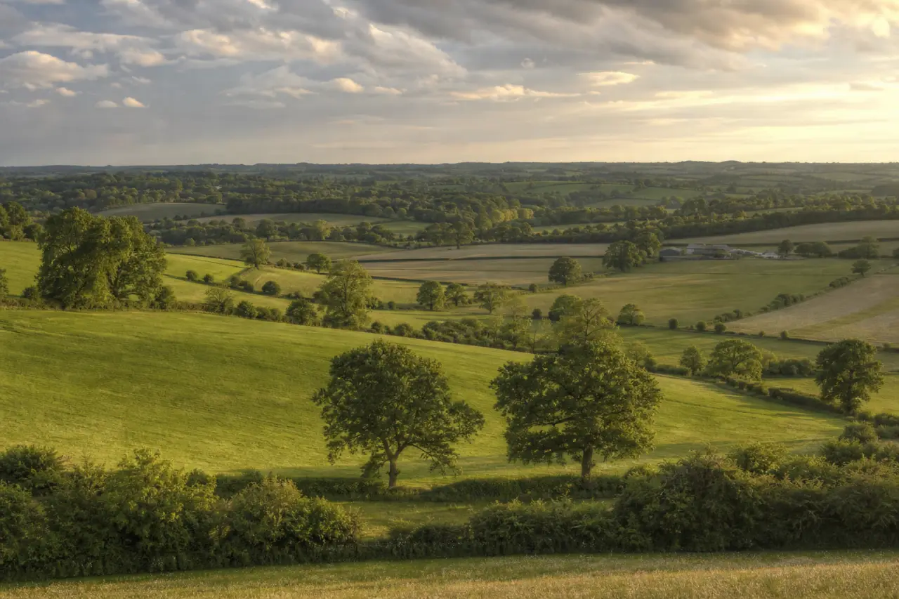 Wiltshire countryside