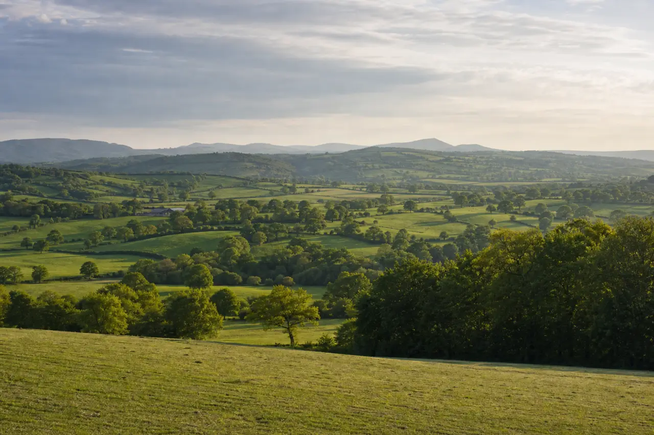 Wrexham countryside