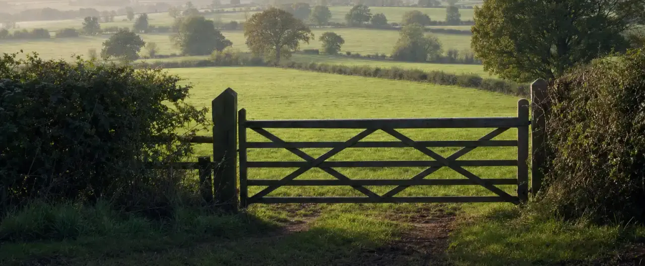 A plot of land seen across open fields